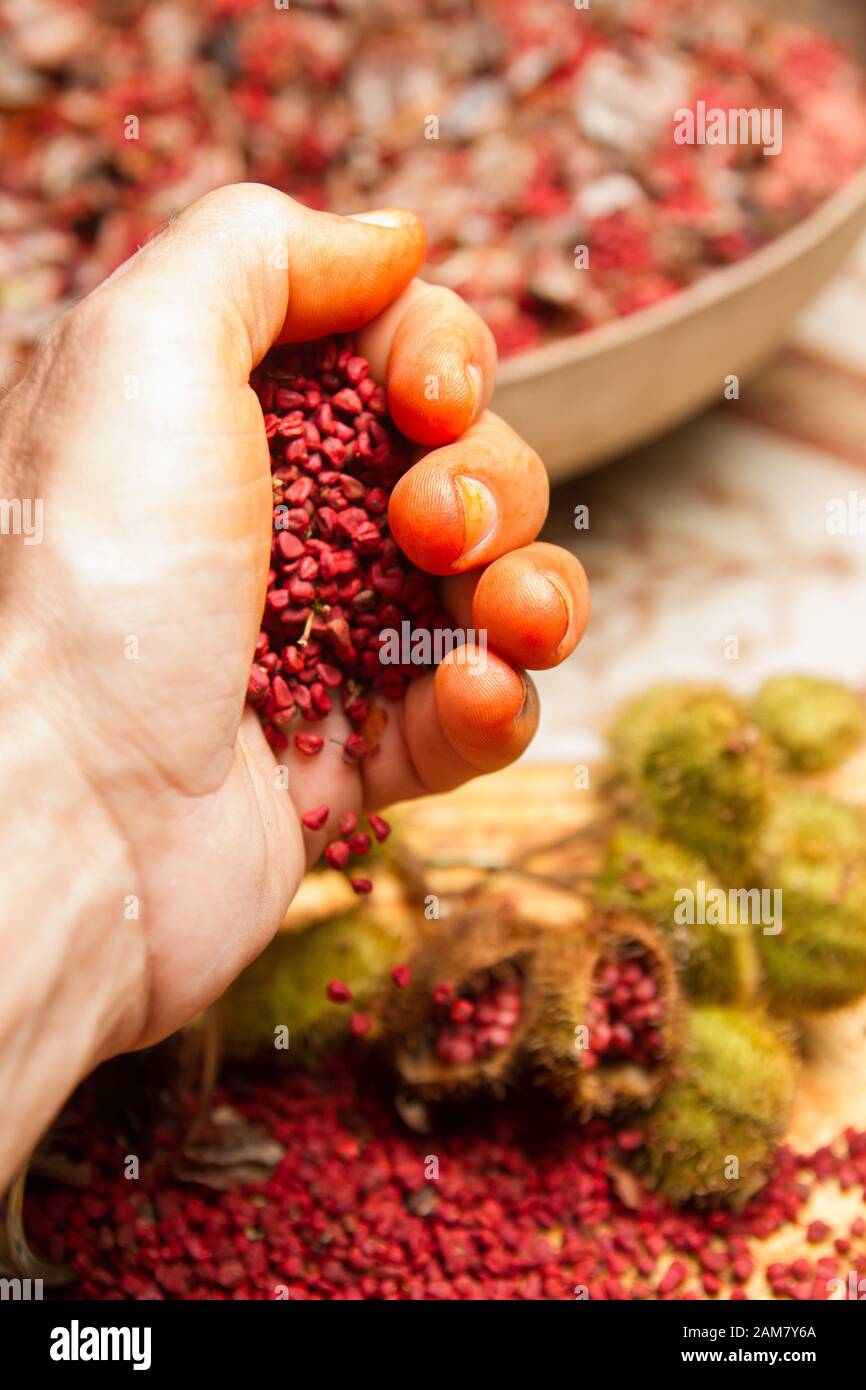 annatto Samen rot orange condiment und Lebensmittelfarbe abgeleitet von achiote Tree.bixa orellana wird verwendet, um Farbe, Geschmack und Aroma zu Essen Stockfoto