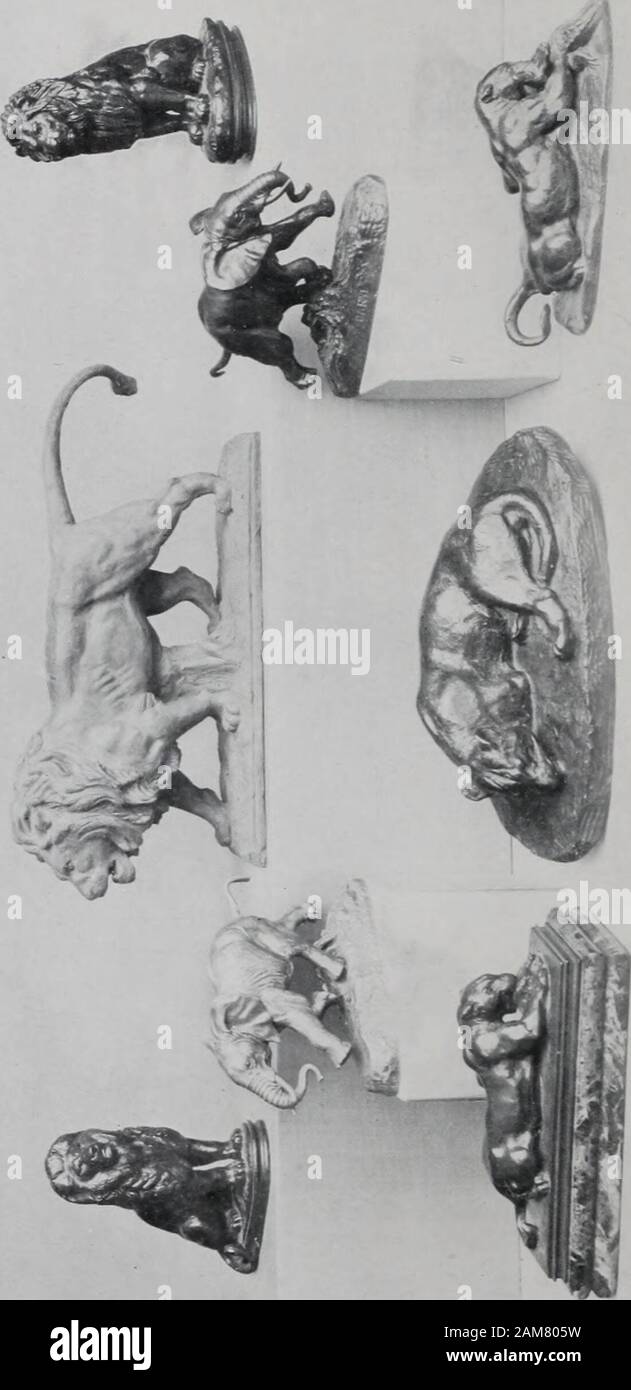Bebilderte Katalog der Kunstschätze der bekannte Kenner gesammelt, der späte Cyrus JLawrence, Esq., New York. : V Zoll; Länge, 7&gt;. , Zoll. 317 - (35) liegenden Pantheb Holding eine Antilope Antike grüne Patina. Wie auch die vorherigen Figur, dieses oneshows eine asiatische Panther bereit, seine Beute mit jedem Wildbeast zu Streit tlie Tiger zu speichern. Es schlug, hat einen kleinen Antilopen, Andis, seine Zeit vor dem Beginn der Mahlzeit. Zweifellos otherpanthers vorhanden sind, oder vielleicht die Geier haben in der Nähe von approachedtoo Für die beleidigt die Würde von Bagheera. Signiert "/&lt;&lt; Basis, Babye. Hi ich Stockfoto