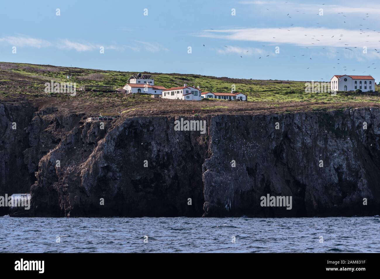Die Anakapa Island Ranger Station im Süden Kaliforniens liegt hoch über den Steilhängen des vulkanischen Felsens und wird von zahlreichen Meeresvögel gemeinsam genutzt. Stockfoto