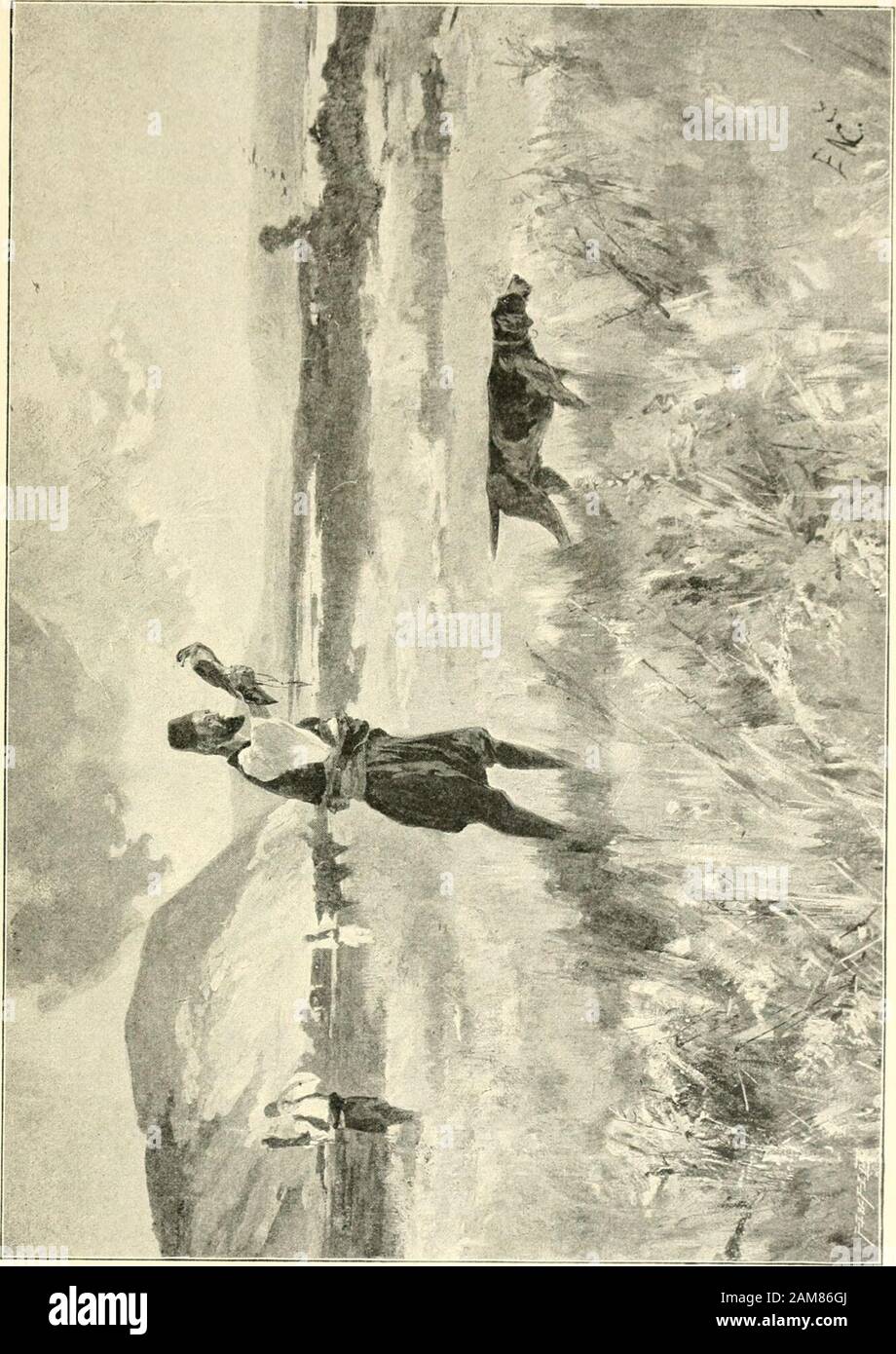 Durch Bosnien und Herzegowina kreuz und quer; Wanderungen auf steilerHöhe sterben Ruinen eines alten Sommerschlosses der bosnischen Herrschergrüssen, und gelangen dann nach Novi ein dm Zusammenflüsse der Unnaund Sanna. Wie ein großer Garten sieht die Gegend aus, sterben eine einzelnenHäuser Villen mahnend. Hier sieht man den Wohlstand offenkundig. Sterben weite Ebene wird durch die Ausläufer der Pastirevo-Planina und überder Unna durch die kroatischen Gebirge begrenzt. Novi gegenüber siehtman Dvor und in - Entfernung sterben hoch liegende Kirche von [Di-vusa. Bahn nimmt, stand Lauf längs der Unna Sterben Stockfoto