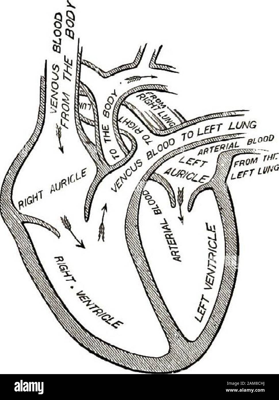 Ventil Offen Geschlossen Von Stockfotos Und Bilder Kaufen Alamy