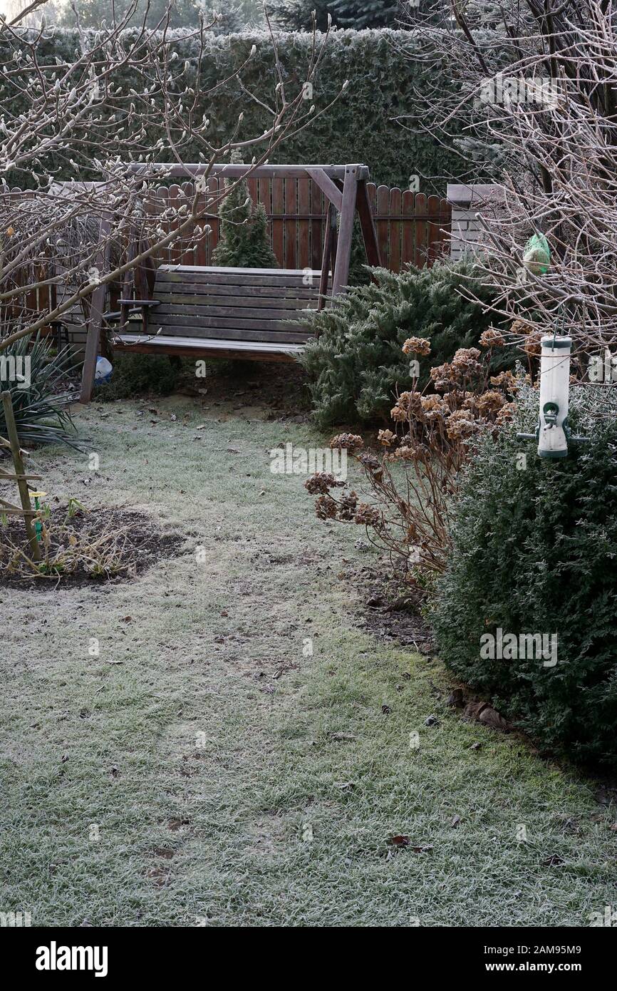 Frostigen Morgen im Garten - auf dem Rasen Stockfoto