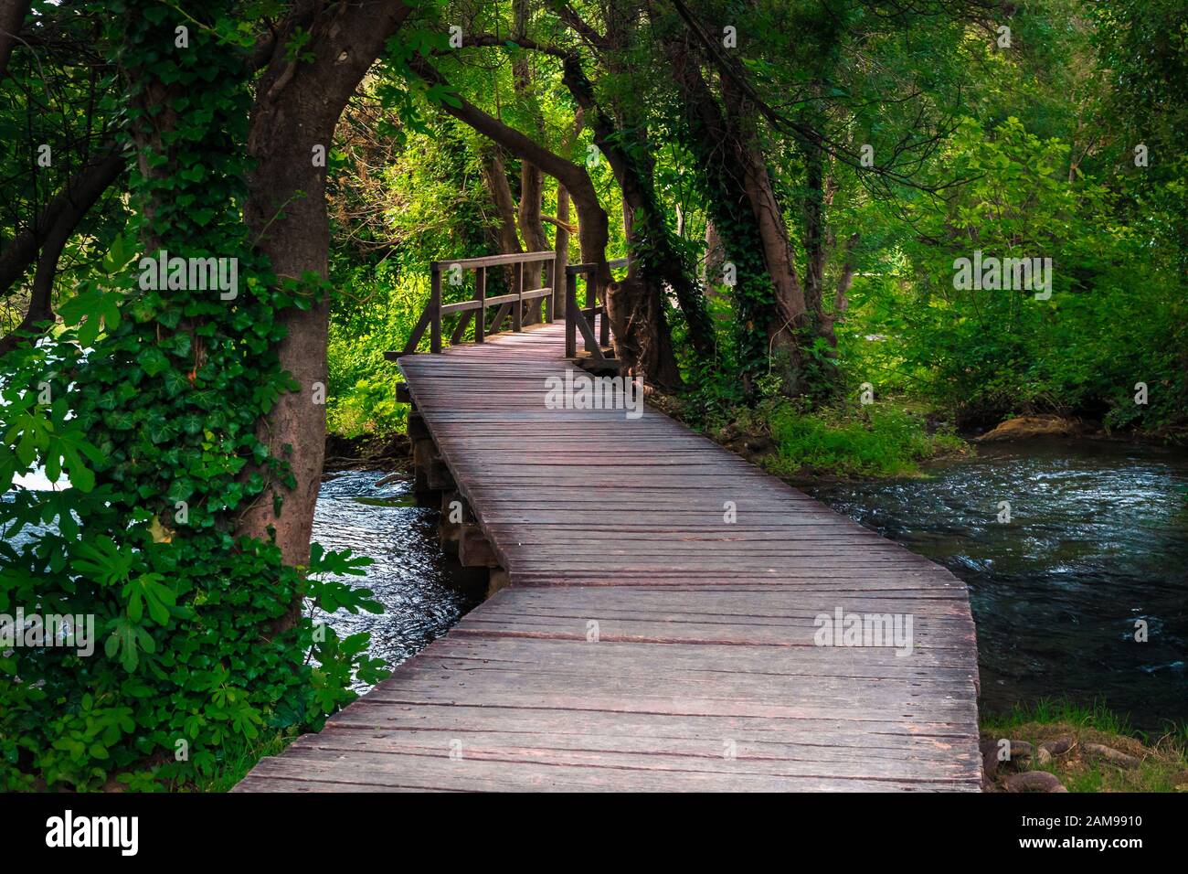 Spektakuläre touristische Holzbrücke im frischen grünen, tiefen Wald. Holzsteg mit Gurgelbrook und wundervollen Kaskaden, Krka National Park, Siben Stockfoto