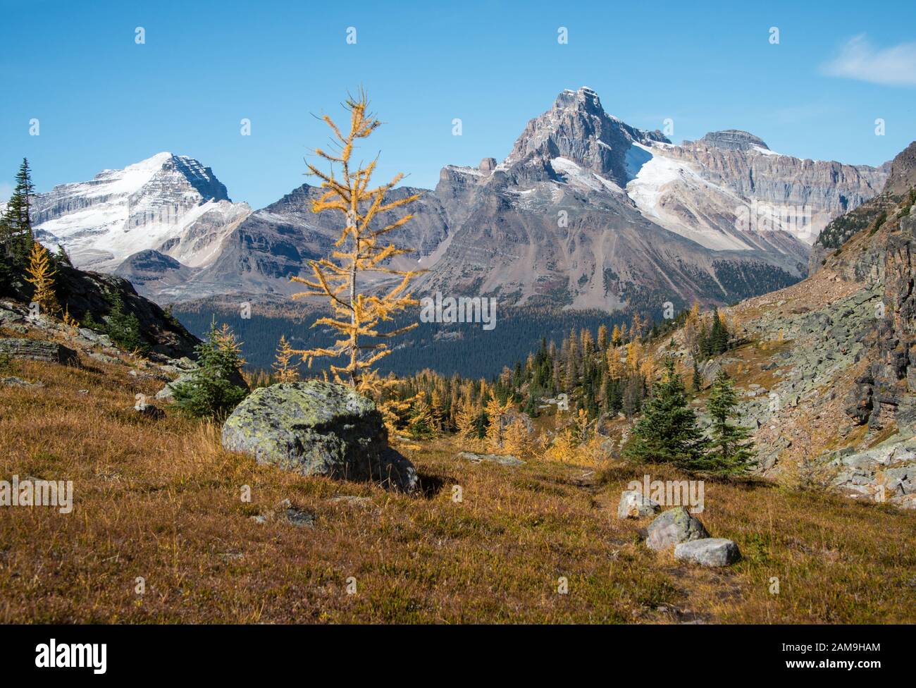 Lake O'Hara im Herbst, Yoho National Park, Kanada Stockfoto