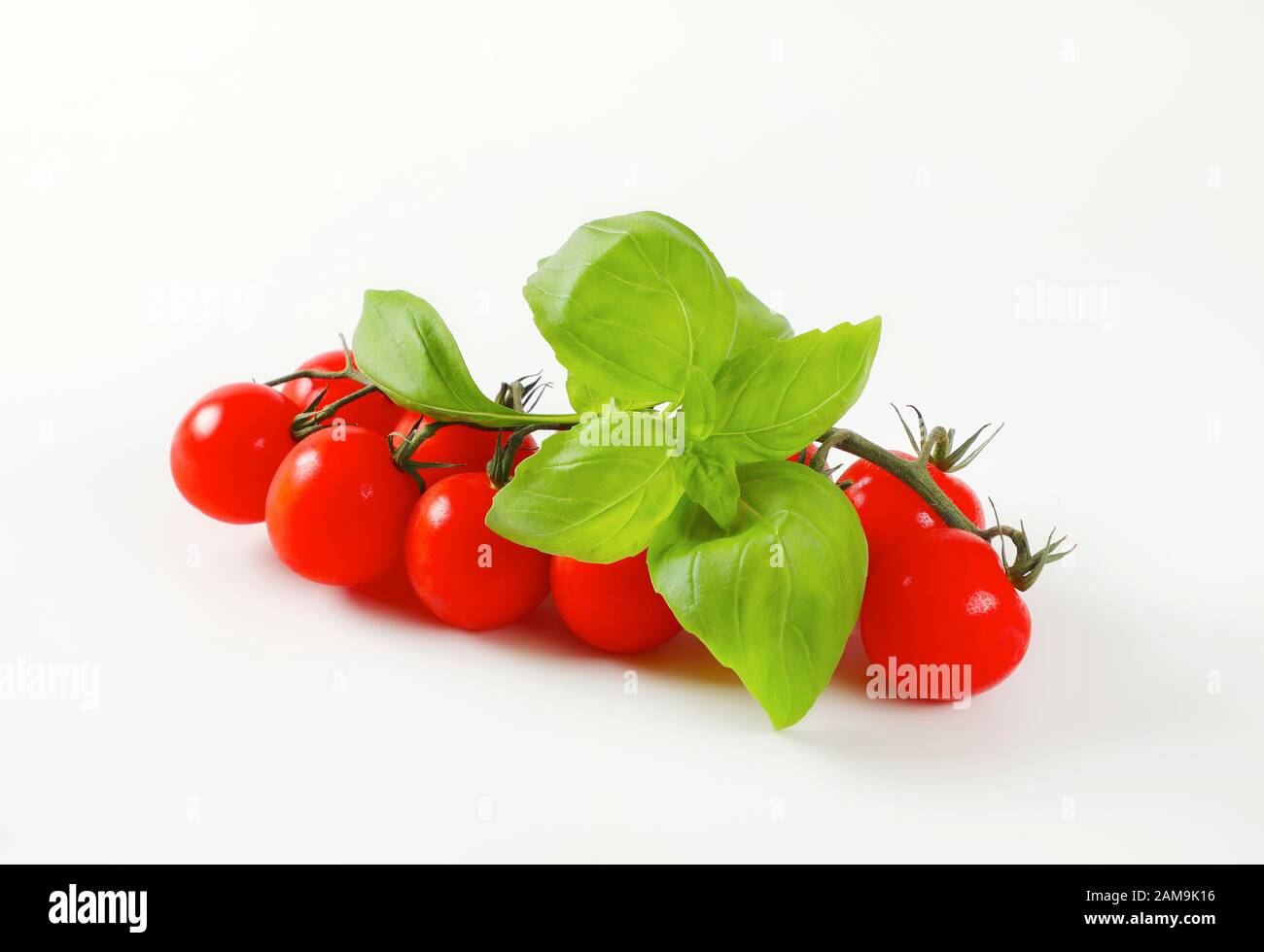Haufen frischer roter Tomaten und Basilikum Stockfoto