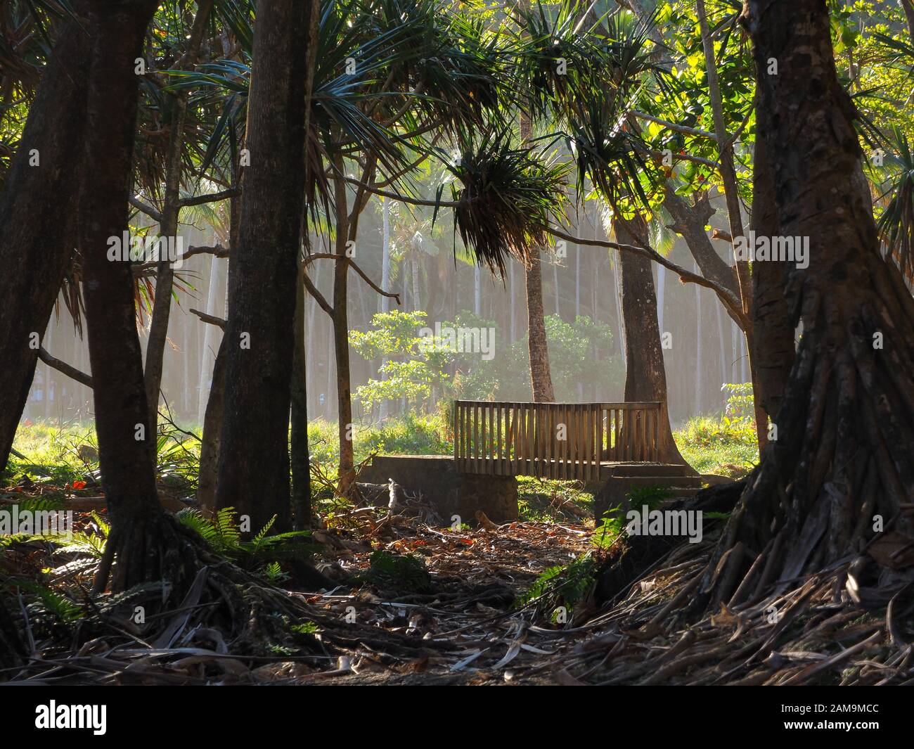 Am Waldrand, der Brücke... eine fantastische Atmosphäre mit Seespray in Anse des Cascades, Reunion Island Stockfoto