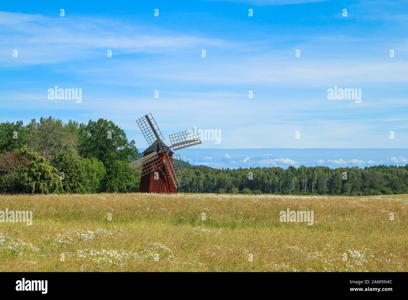 Die typische rote, schwedische Windmühle, die auf den Feldern voller Getreide steht. Die ländliche Landschaft der schwedischen Landschaft. Stockfoto