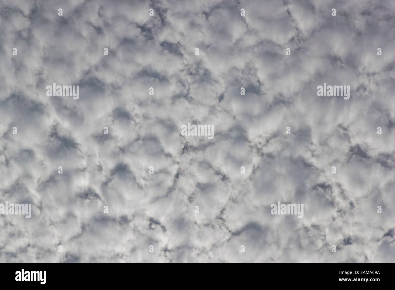 Altocumulus-Wolken Stockfoto