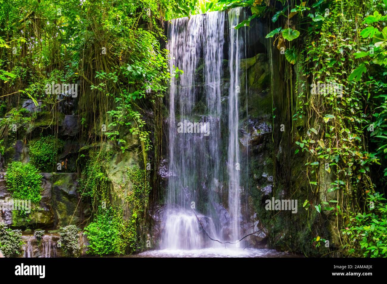 Strömender Wasserfall mit vielen Pflanzen in Dschungellandschaft, schöner Naturhintergrund Stockfoto