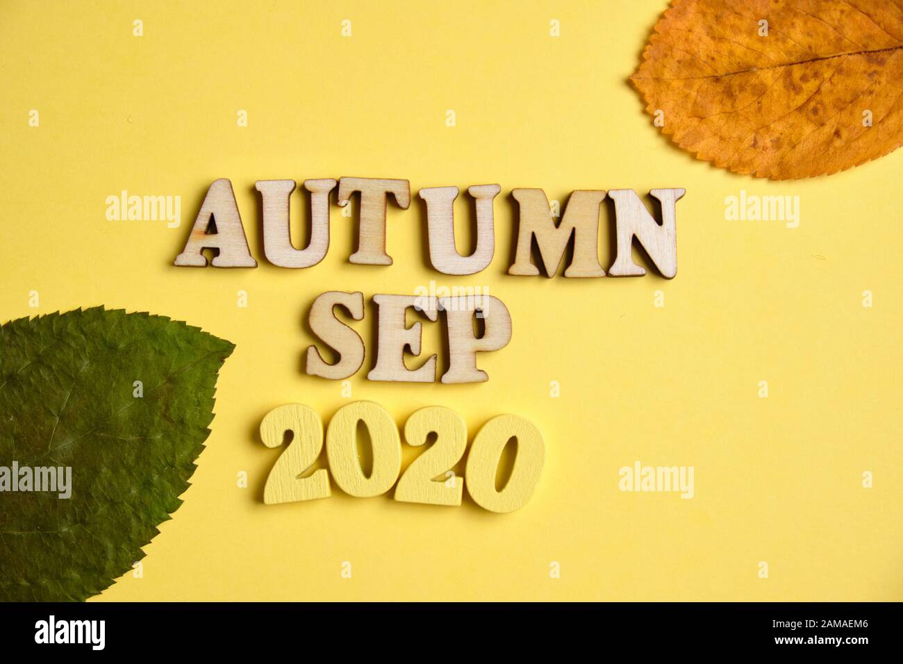 Das Konzept des Herbstes - September im neuen Jahr. Holznummern 2020 mit Buchstaben, Blätter auf gelbem Hintergrund. Draufsicht. Nahaufnahme. Stockfoto