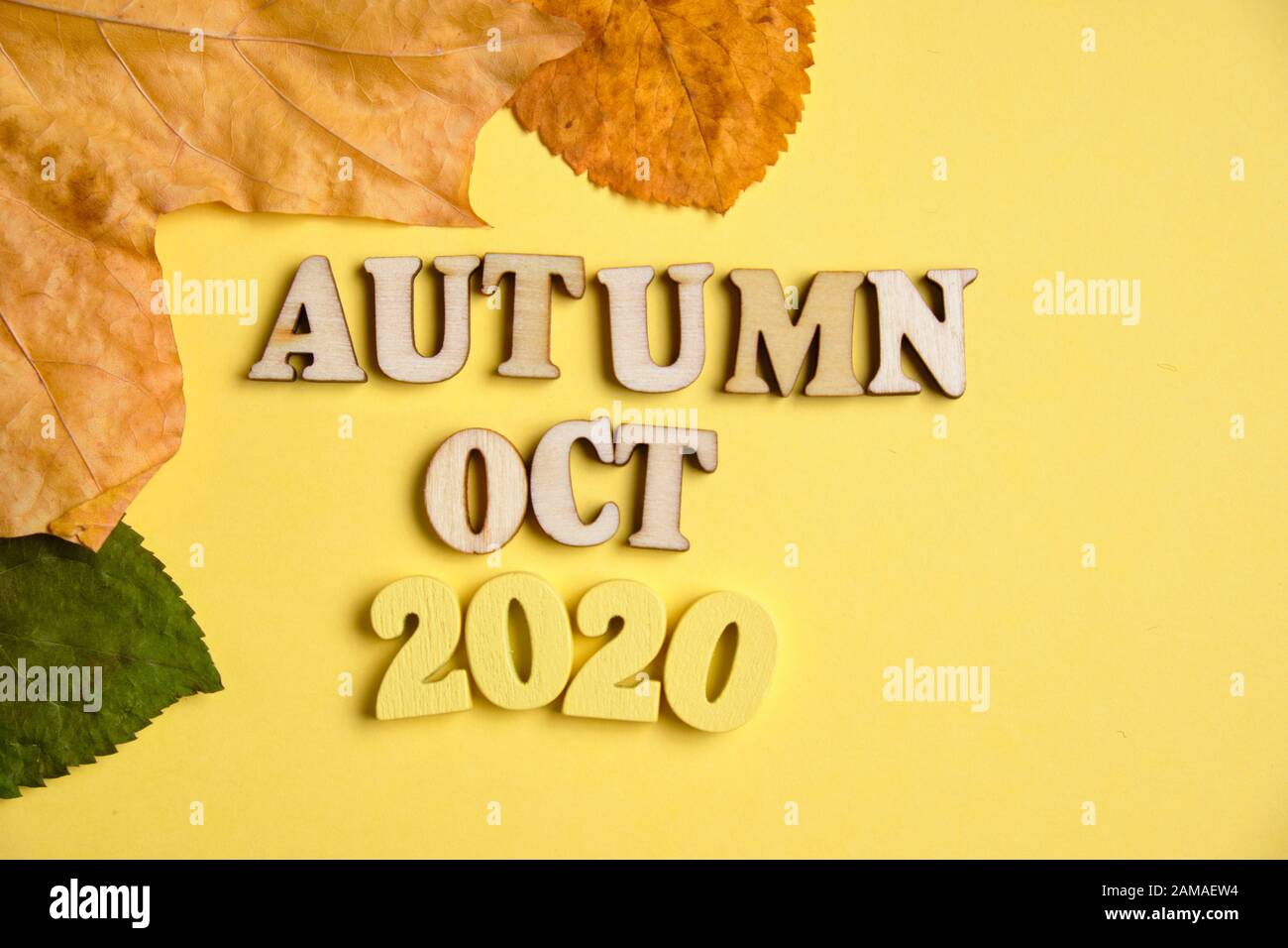 Das Konzept des Herbstes - Oktober im neuen Jahr. Holznummern 2020 mit Buchstaben, Blätter auf gelbem Hintergrund. Draufsicht. Nahaufnahme. Stockfoto