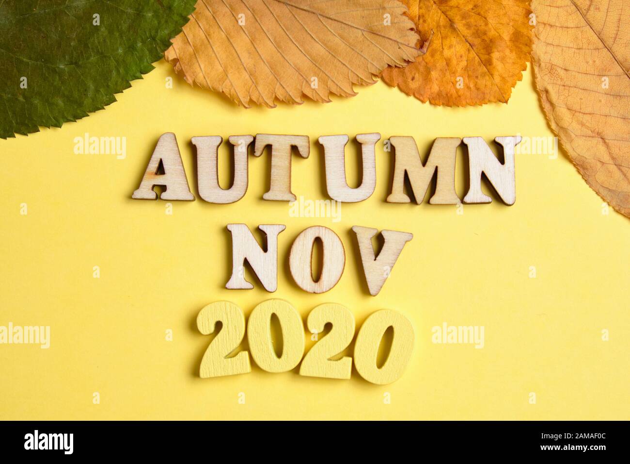 Das Konzept des Herbstes - November im neuen Jahr. Holznummern 2020 mit Buchstaben, Blätter auf gelbem Hintergrund. Draufsicht. Nahaufnahme. Stockfoto