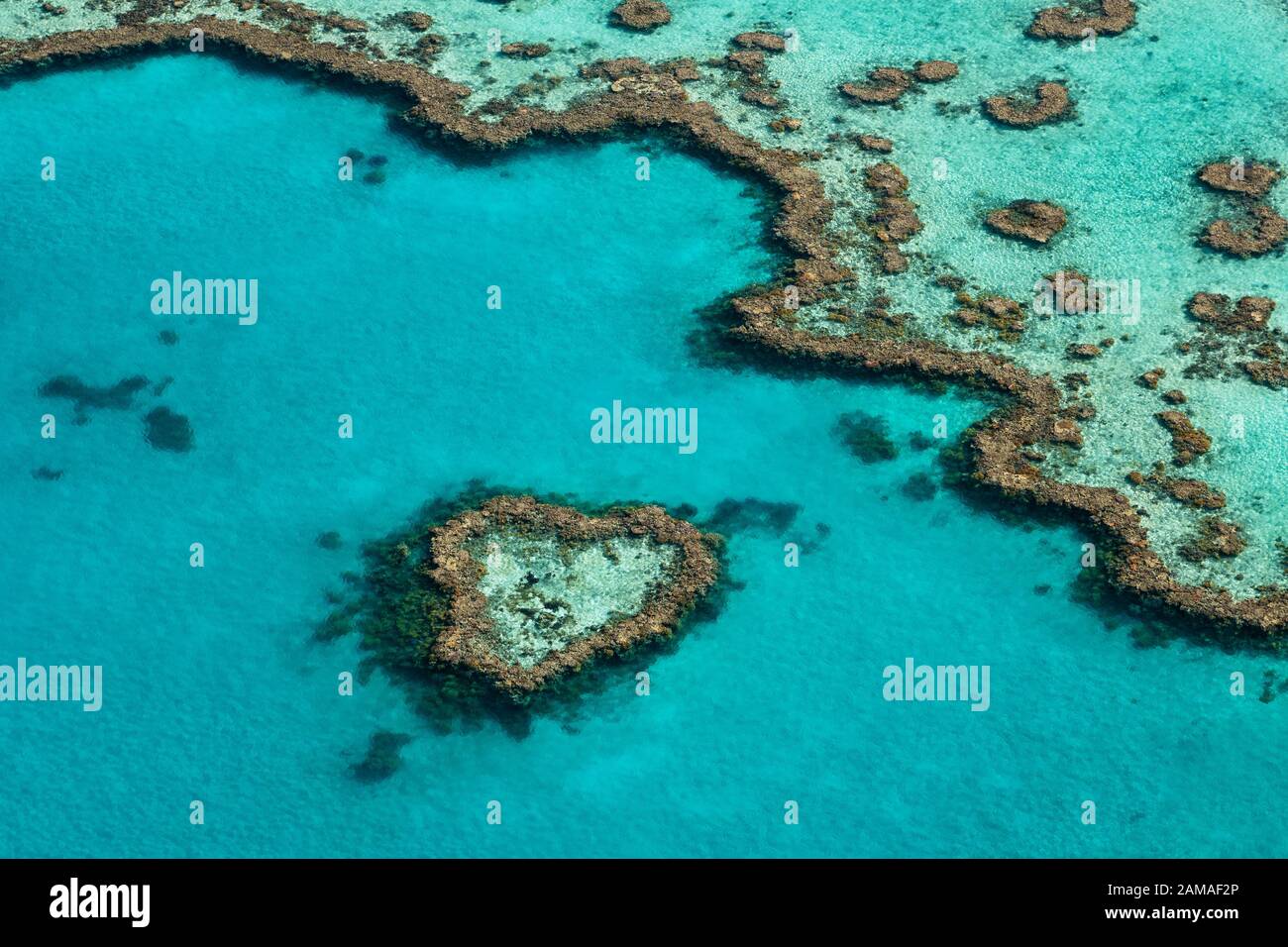 Berühmte Herzen Reef im Great Barrier Reef. Stockfoto