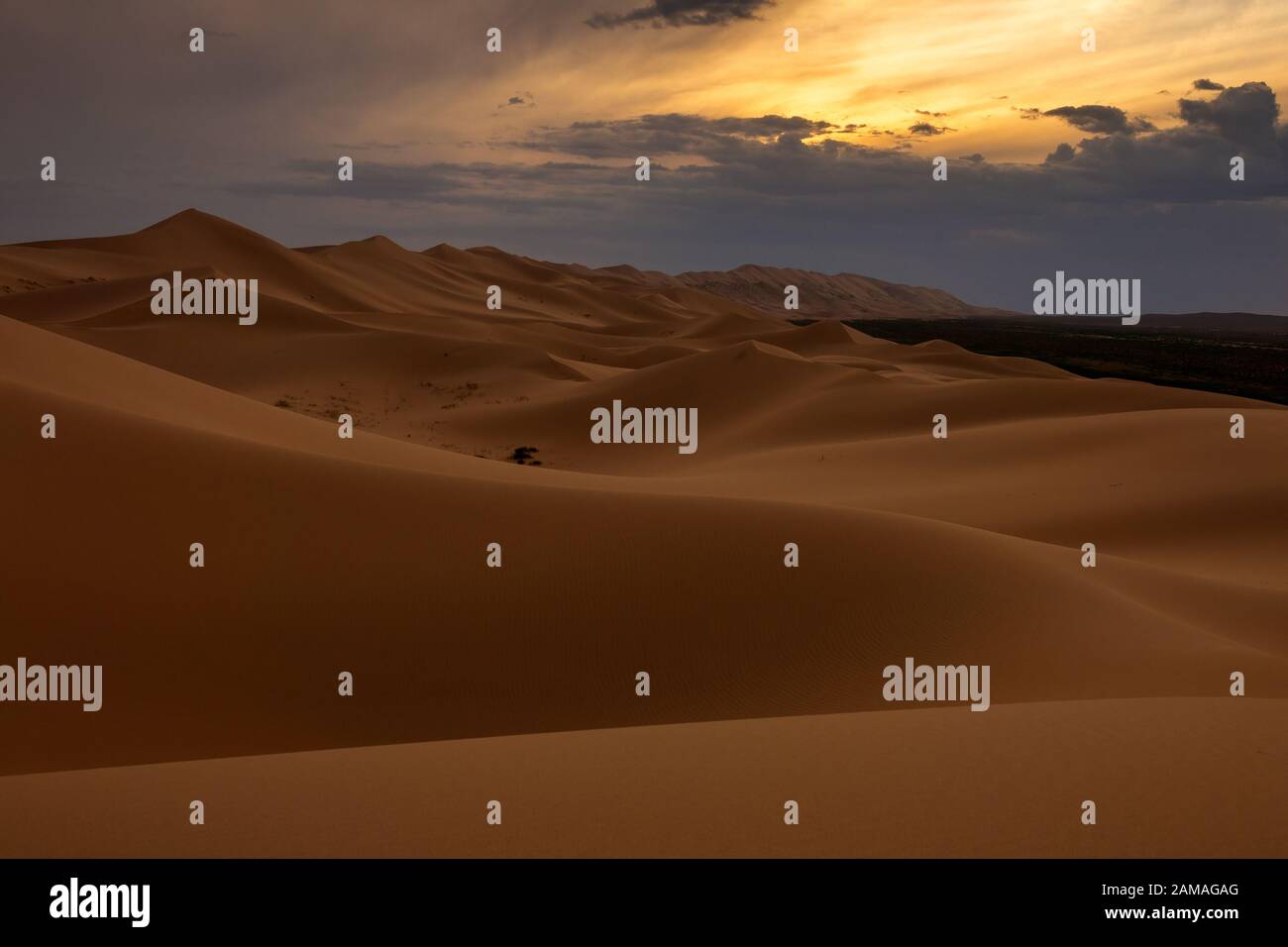 Sanddünen in der Wüste Gobi bei Sonnenuntergang Stockfoto