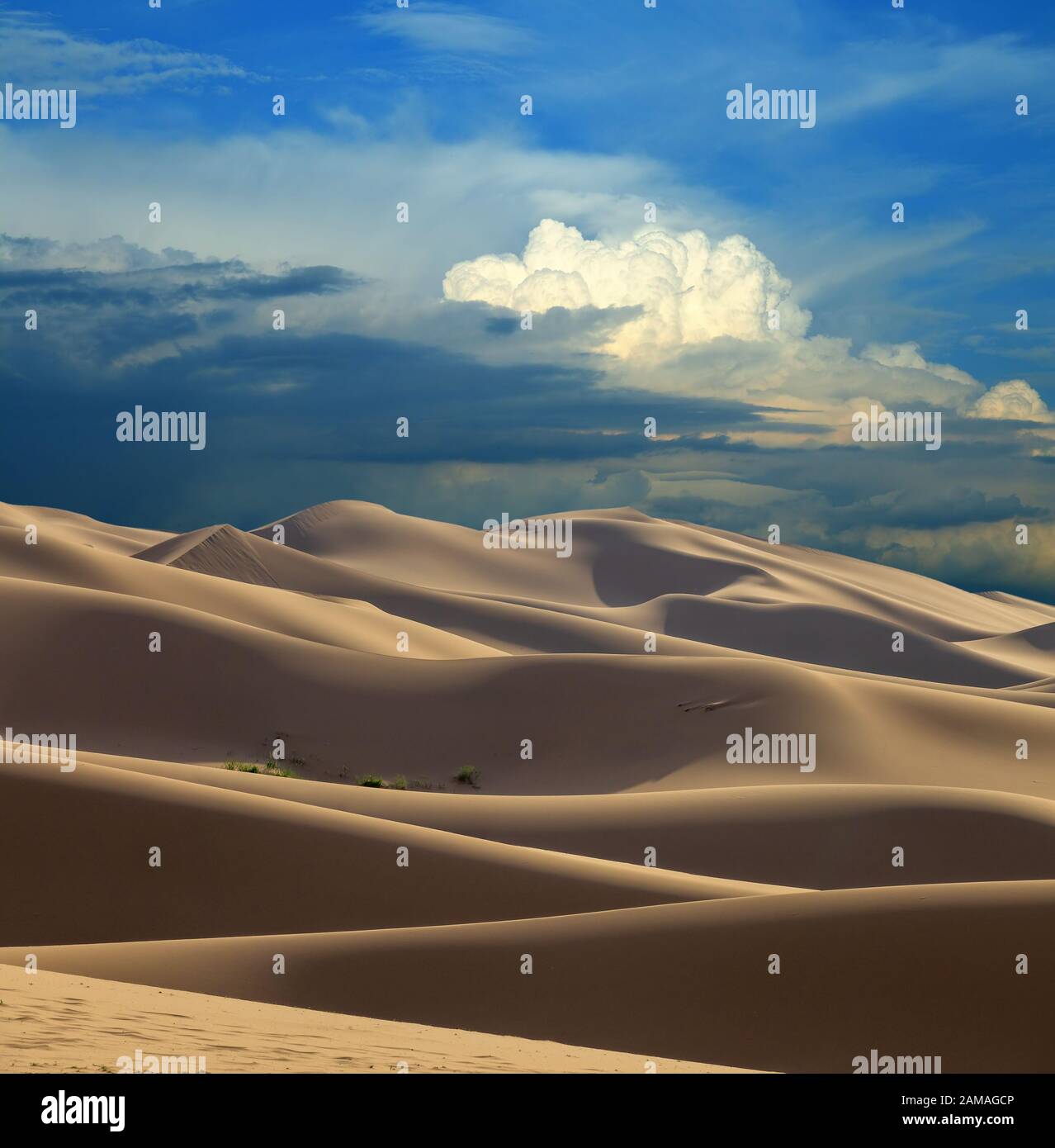 Sanddünen in der Wüste bei Sonnenuntergang Stockfoto