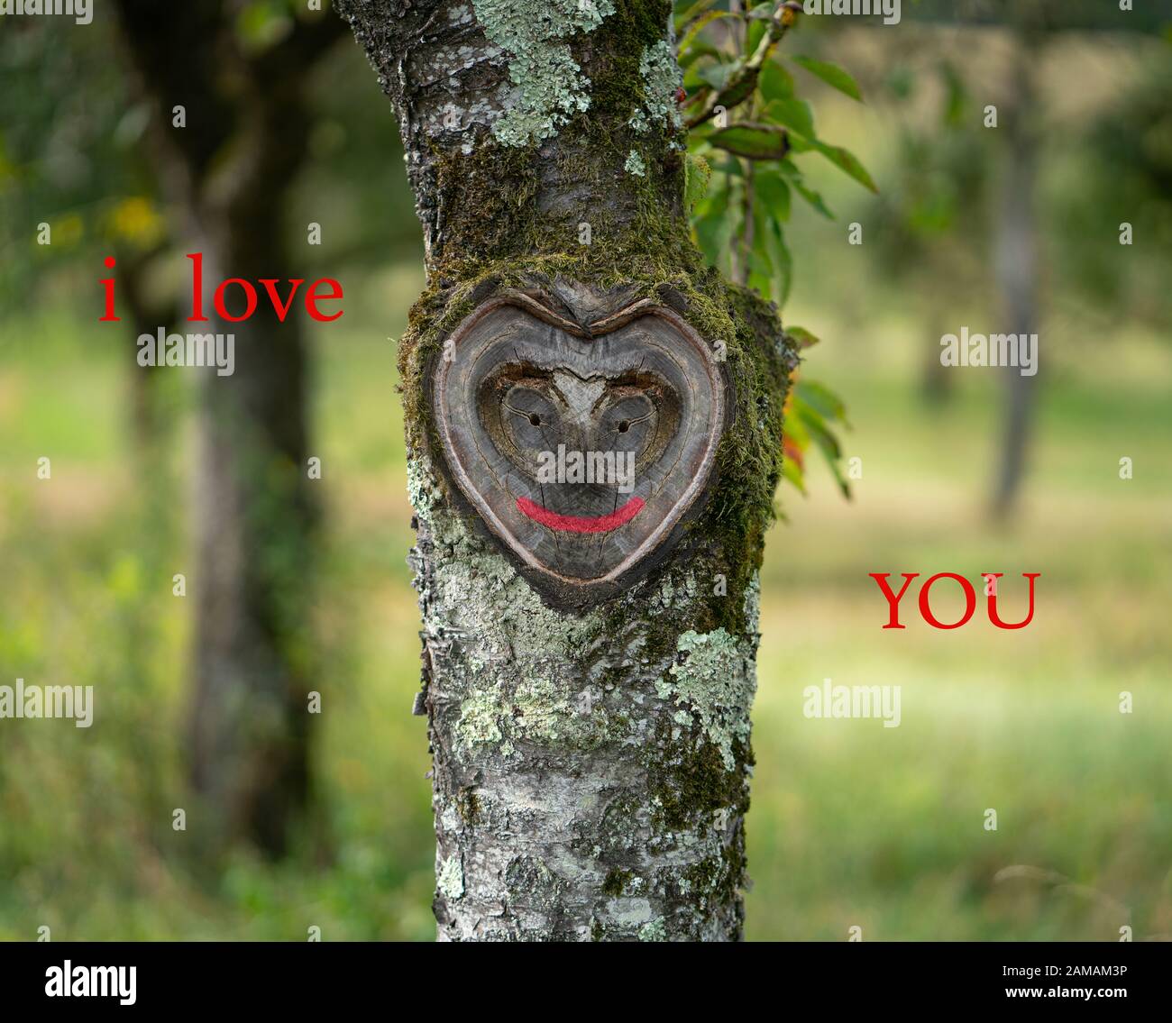 "I Love You"-Karte passend für Valentinstag, Hochzeitstag, Entschuldigung, Liebeserklärung, Vorschlag. Ein schöner Baumstamm mit herzförmigem f Stockfoto