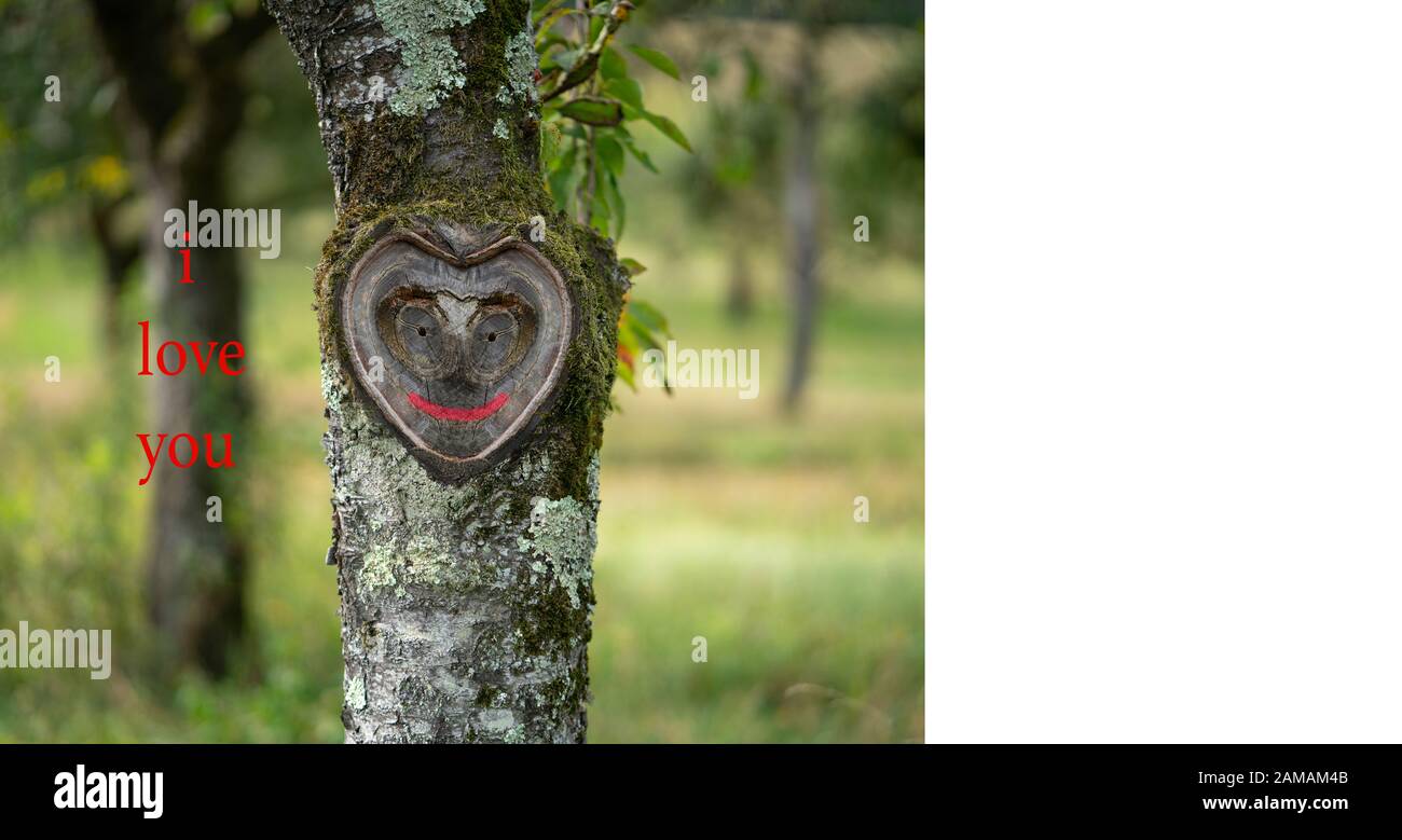 "I Love You"-Karte passend für Valentinstag, Hochzeitstag, Entschuldigung, Liebeserklärung, Vorschlag. Ein schöner Baumstamm mit herzförmigem f Stockfoto