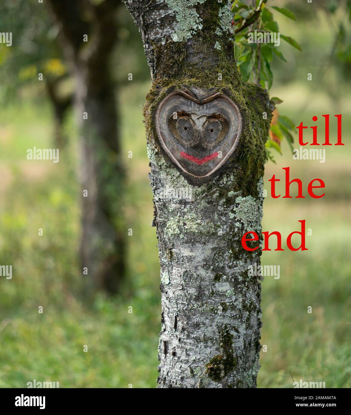 Karte, um jemandem, der besonders und beliebt ist, endlose Liebe auszudrücken. Wunderschönes, natürliches, herzförmiges Gesicht in einem Baum mit viel Grün. Konzept. Stockfoto