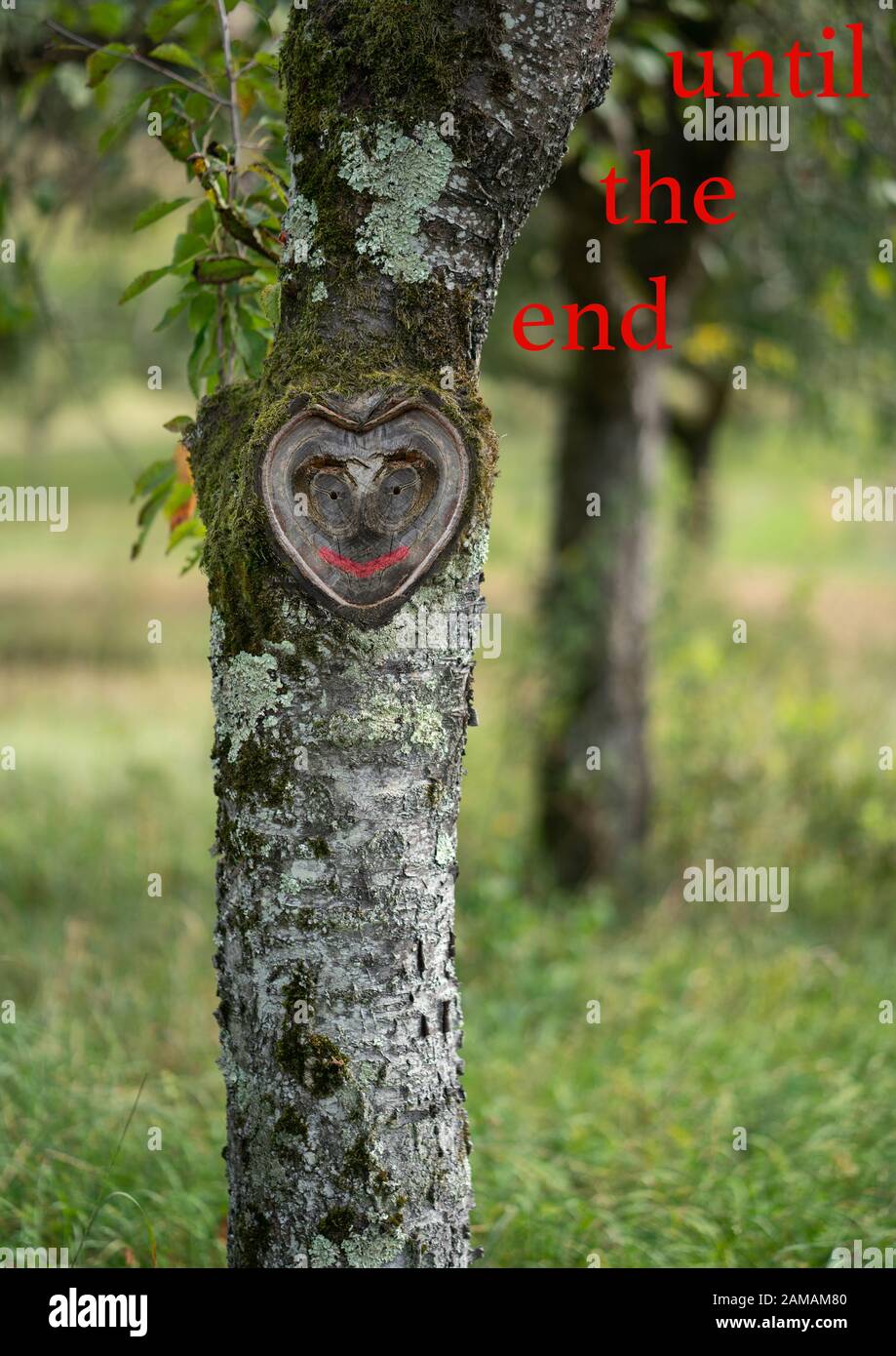 Karte, um jemandem, der besonders und beliebt ist, endlose Liebe auszudrücken. Wunderschönes, natürliches, herzförmiges Gesicht in einem Baum mit viel Grün. Stockfoto