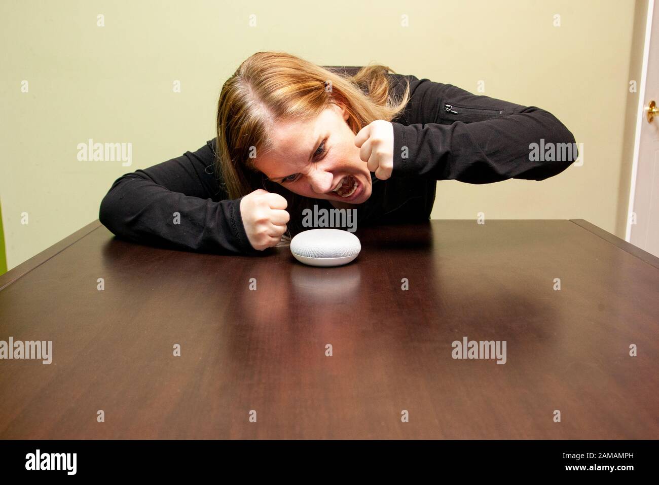 Person, die auf ihrem google Home Mini schreit und wütend ist, weil es nicht zuhört Stockfoto