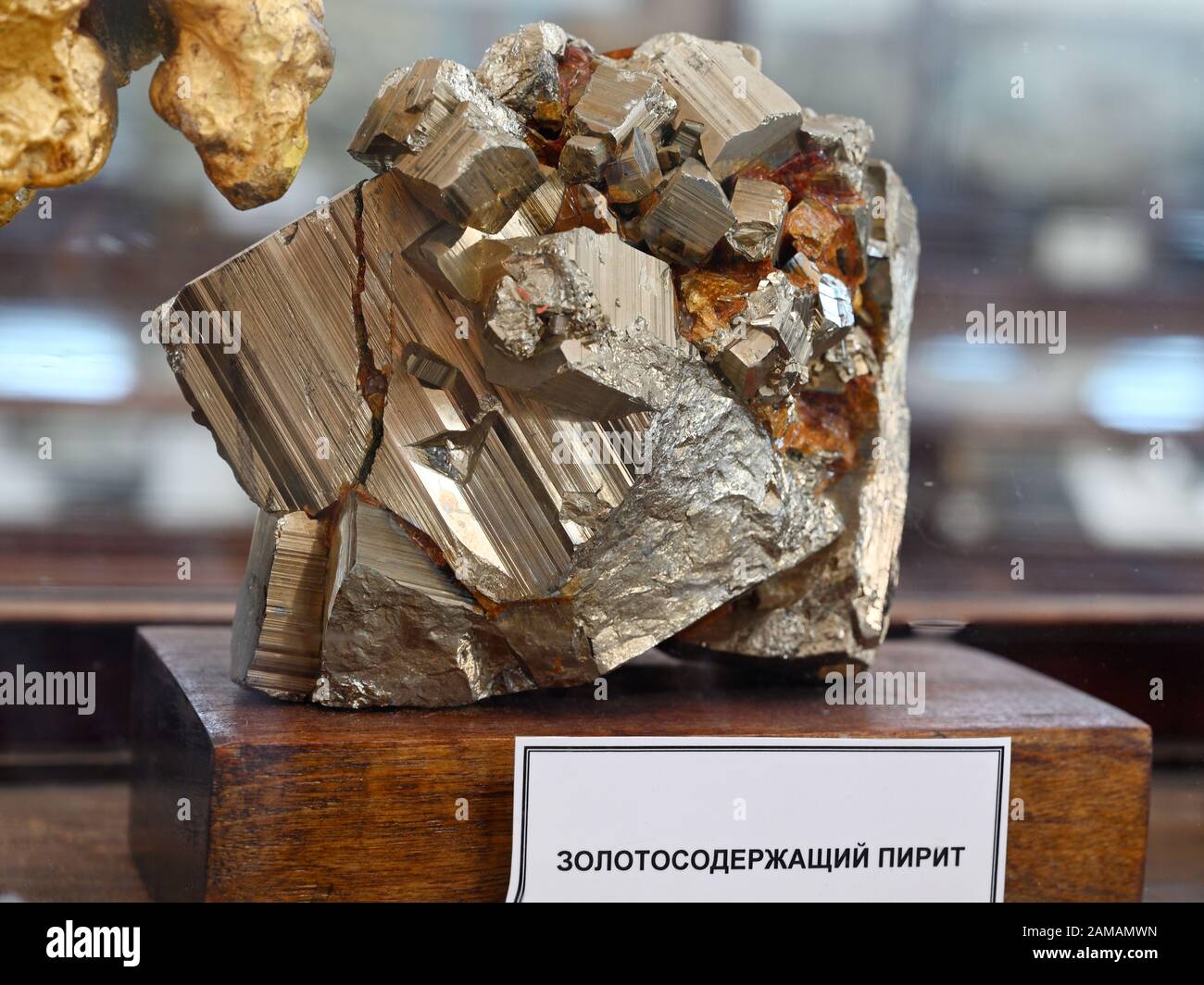 St. Petersburg, Russland - 18. Juni 2018: Probe von auriferen Pyrit im geologischen Museum der Zentralforschung. Das 1882 gegründete Museum ist seit 1930 öffentlich zugänglich Stockfoto