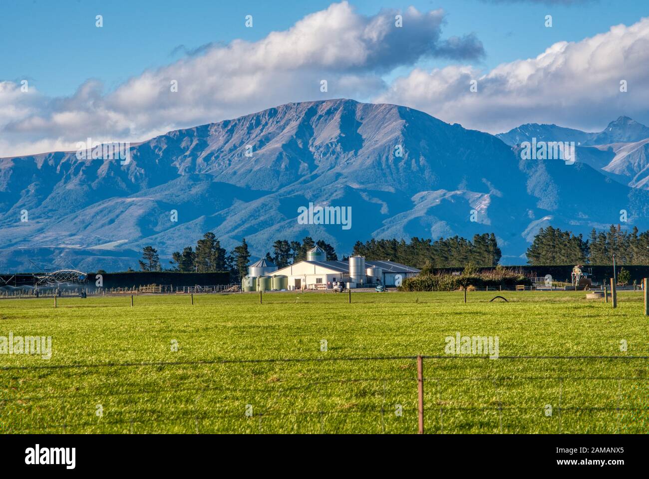 Gehöft, Canterbury Plains, Ashburton, Neuseeland Stockfoto