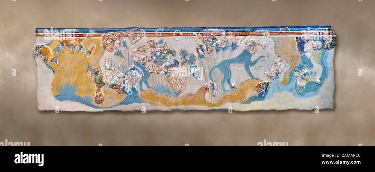 Minoische Wandkunst mit der Darstellung "Blauer Affen" aus dem Knossos-Palast, 1700-1450 v. Chr. Archäologisches Museum Heraklion. Stockfoto