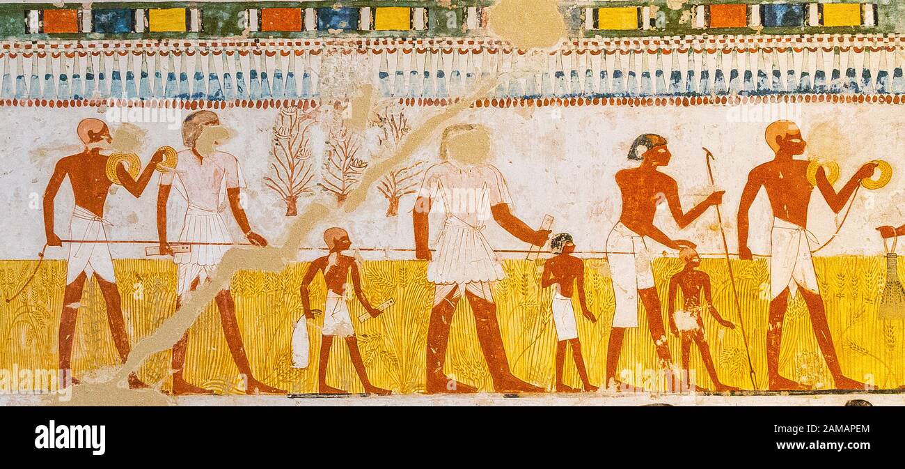 UNESCO Welterbe, Theben in Ägypten, das Tal der Adligen, Grab von menna. Landwirtschaftliche Szene, Vermessung Felder mit einem Seil. Stockfoto