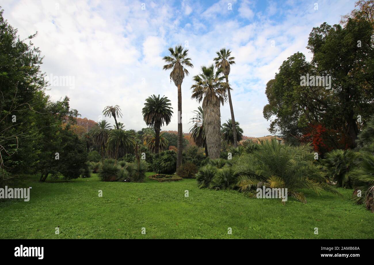 Botanischer Gartenpark in Rom, Italien Stockfoto