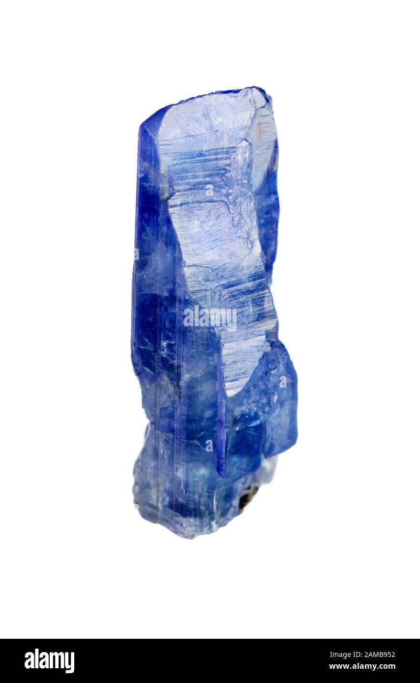 Ein Kristall aus blauem Tanzanit mit einem ganzen Kopf isoliert auf weißem Hintergrund Stockfoto
