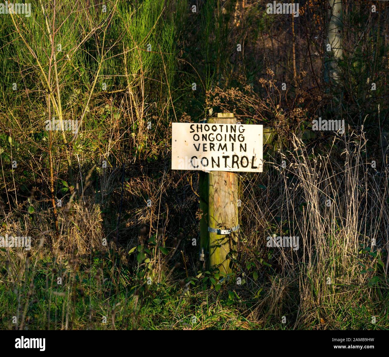 Handschriftliche Warnung vor Schießerei zur Kontrolle von Ungeziefer, Land, East Lothian, Schottland, Großbritannien Stockfoto