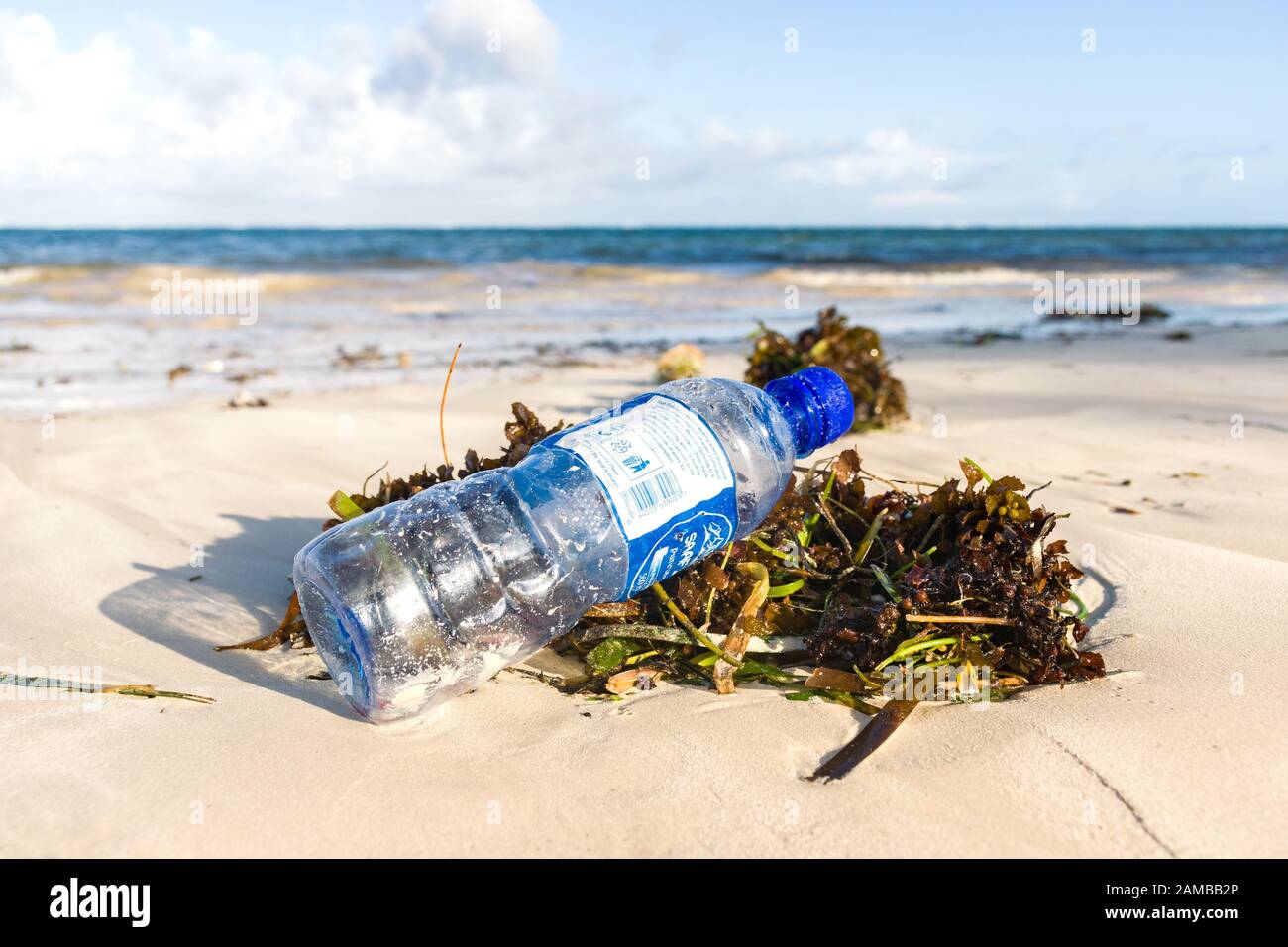 Eine ausrangierte Plastikflasche, die auf Algen an einem Sandstrand liegt Stockfoto