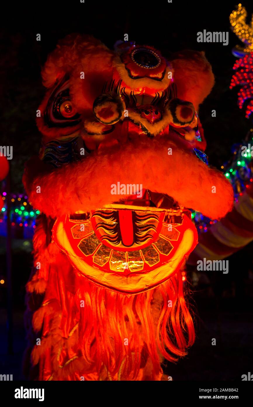 Chinesische Drachen Während der chinesische Neujahrsfest Stockfoto