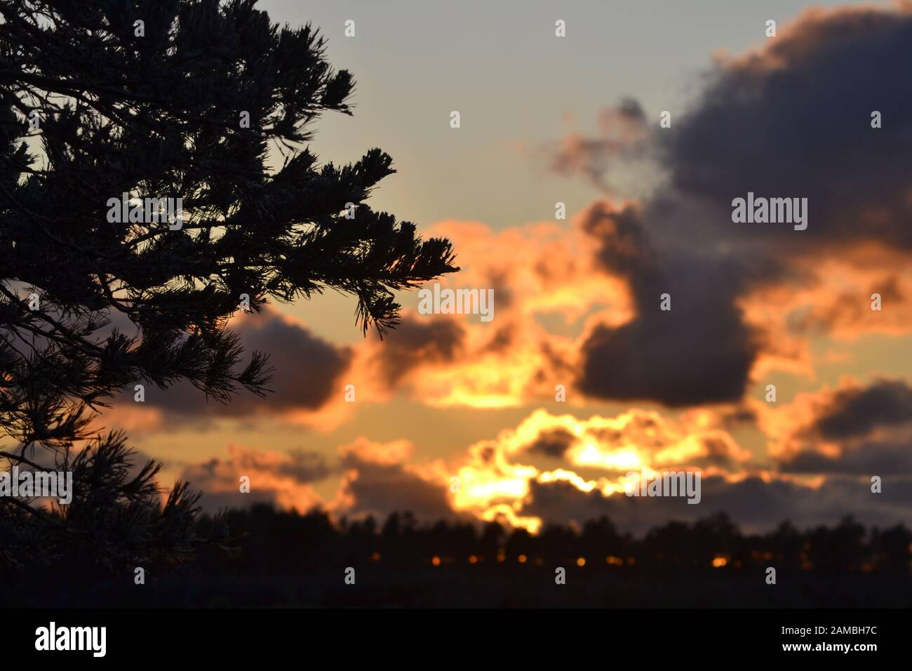 Fotos aus estnischer Natur. Stockfoto