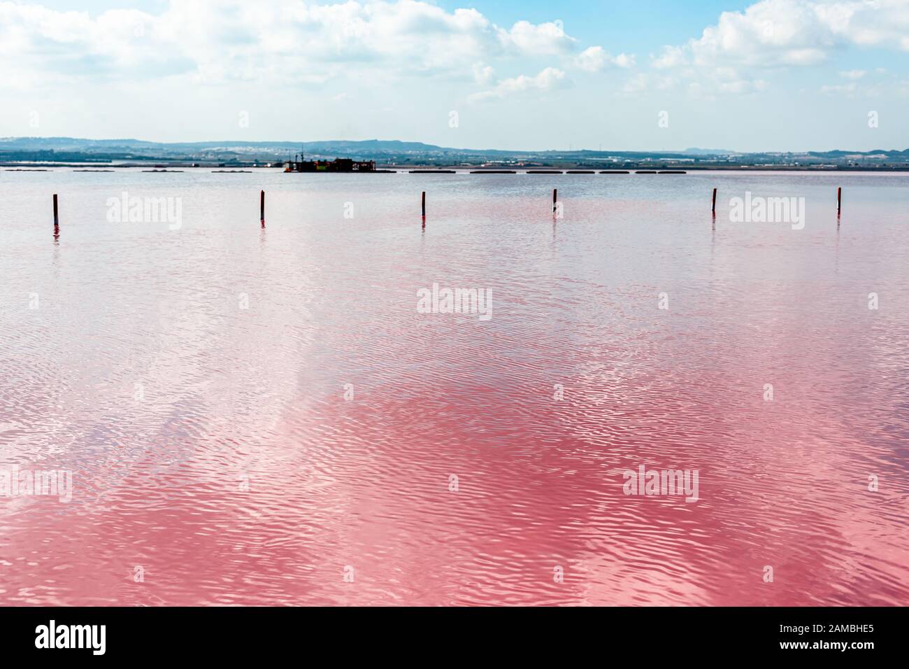 Torrevieja Pink Lake, im Naturpark de Las Lagunas de La Mata e Torrevieja, Provinz Alicante, Spanien. Salzforschung und Ergebnisse aus Anwesenheit von Stockfoto