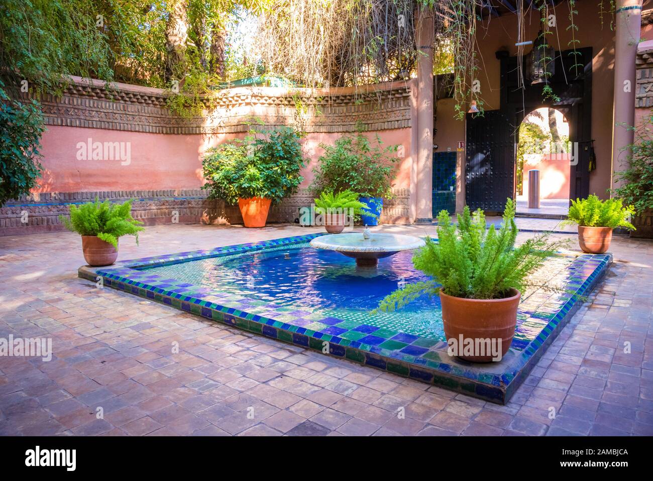 Die schöne Majorell Garten ist ein botanischer, tropischen Garten und Landschaft Garten in Marrakesch, Marokko. Stockfoto