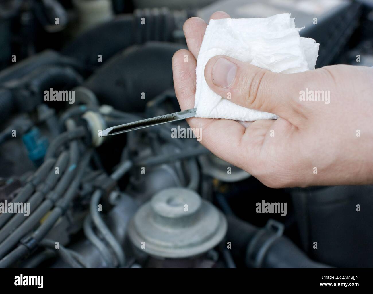 Motoröl prüfen Stockfoto