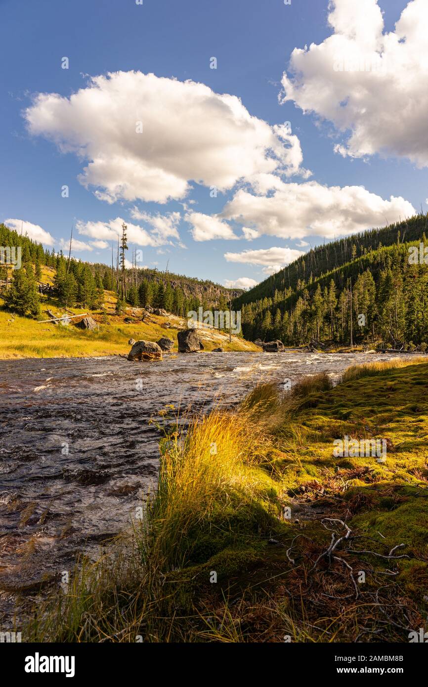 Yellowstone River Stockfoto