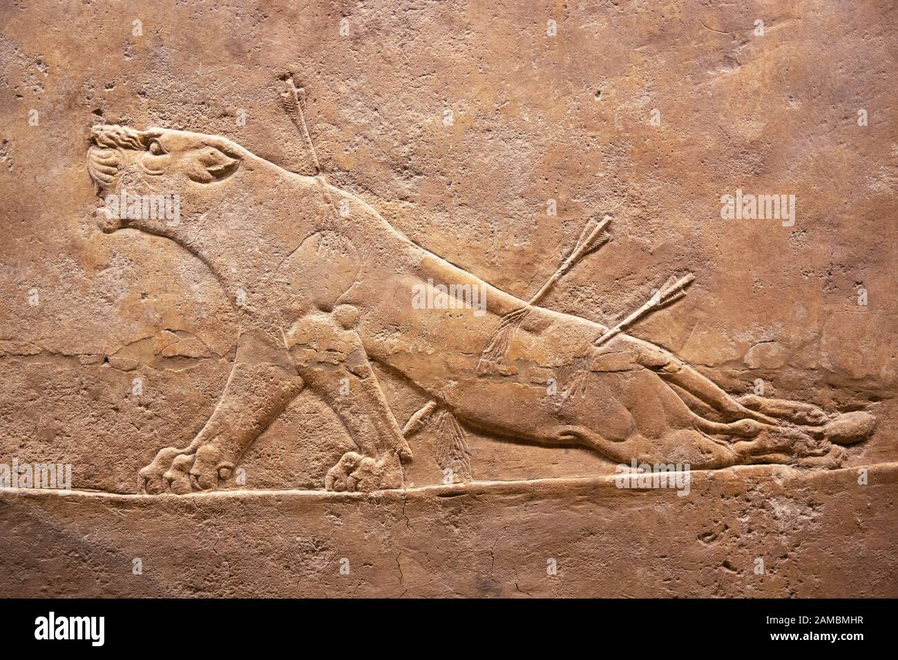 Sterbender Löwe, Pfeile in seinem Körper. Königlicher Löwe jagen Erleichterung aus dem assyrischen Palast bei Ninive. British Musuem, London. Stockfoto