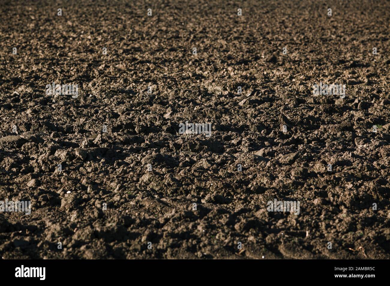 Gepflügten Feldes. Hintergrund von einem gepflügten Feldes Stockfoto