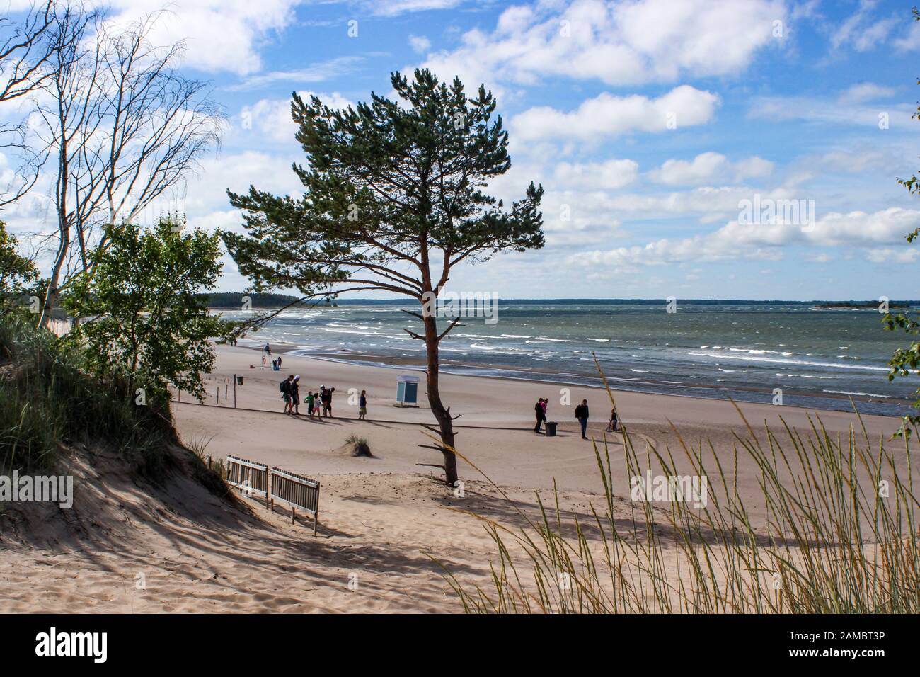 Yyteri Strand an einem windigen Sommertag in Pori, Finnland Stockfoto