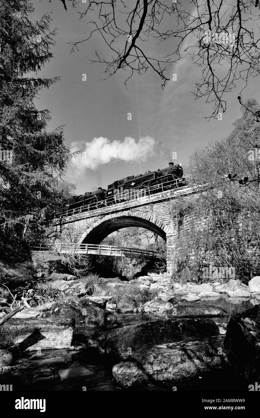 Ein Doppel-Dampfzug über die Eller Beck auf Wasser Arche auf der North Yorkshire Moors Railway geleitet. Stockfoto