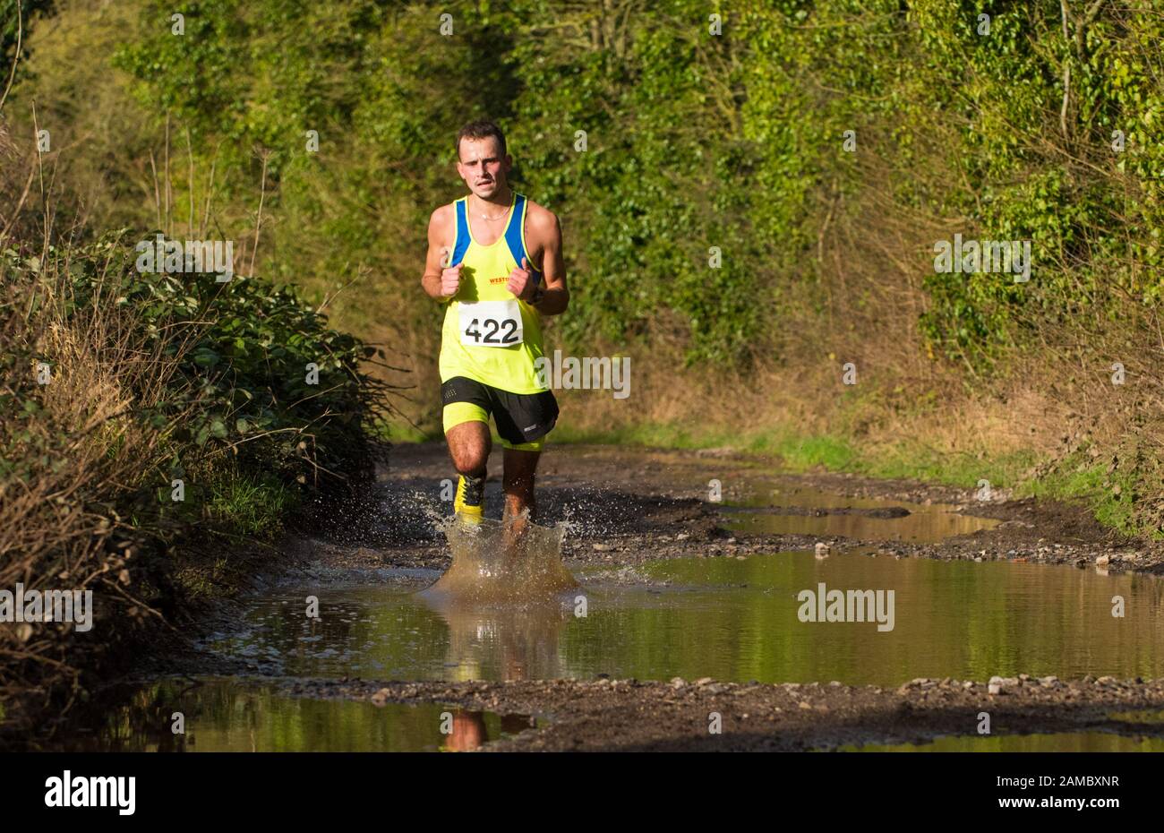 Entschlossener weißer Mann, weiße Frau, die an einem sonnigen Januartag durch eine große schlammige Pfütze in einem Winterhalbmarathon auf einer Landstraße läuft Stockfoto