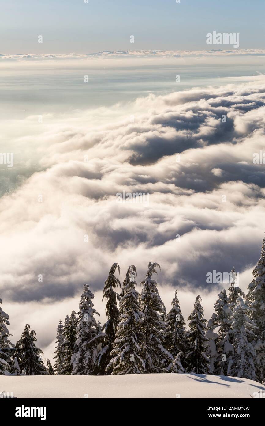 Blick über Vancouver vom Grouse Mountain Ski Resort Stockfoto
