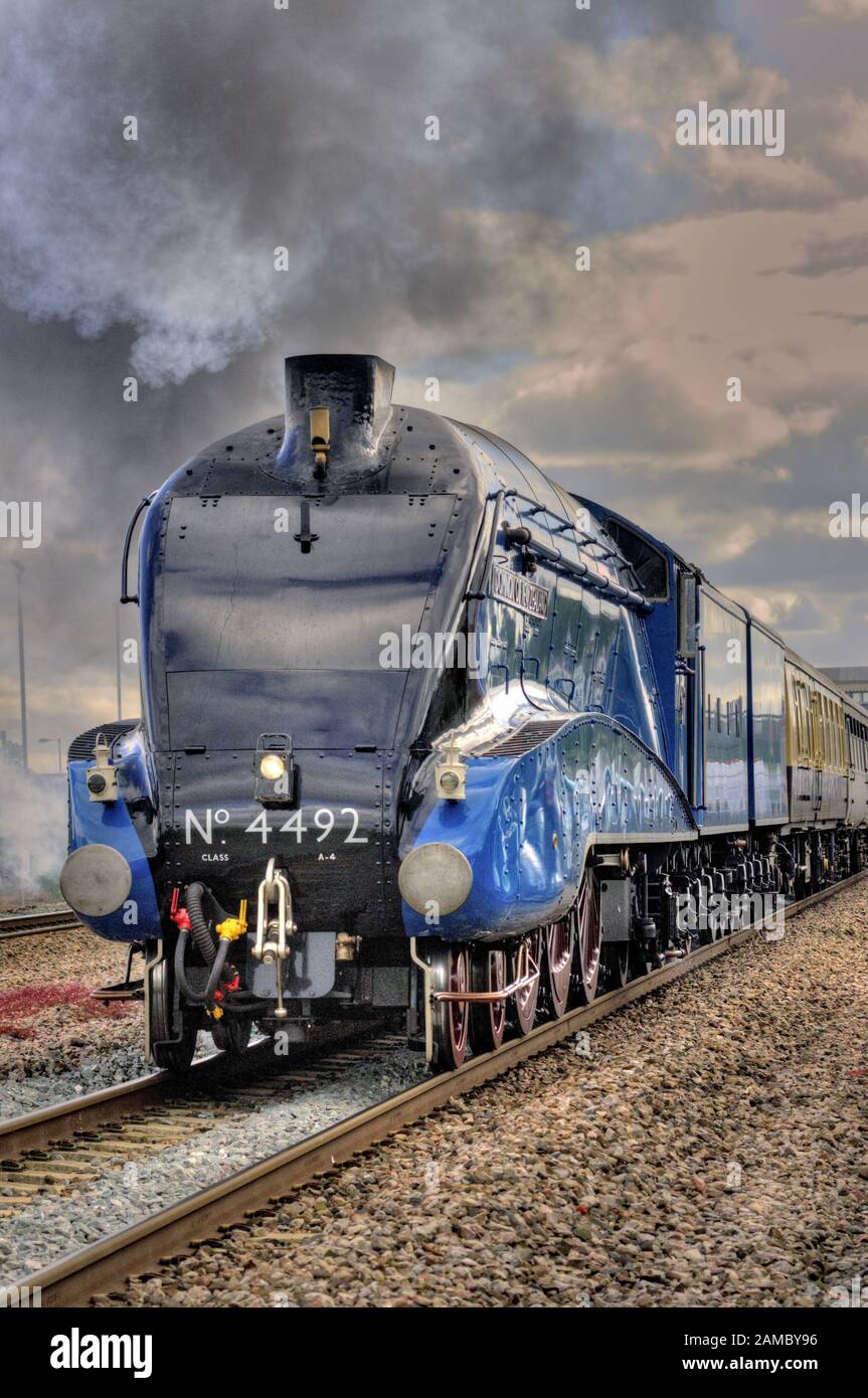 Dampfzug über Chippenham, geschleppt von Klasse A4 Pacific Nr. 60019 Rohrdommel, Betrieb als Nr. 4492. Wie ein HDR-Bild bearbeitet. (Siehe Hinweis). Stockfoto