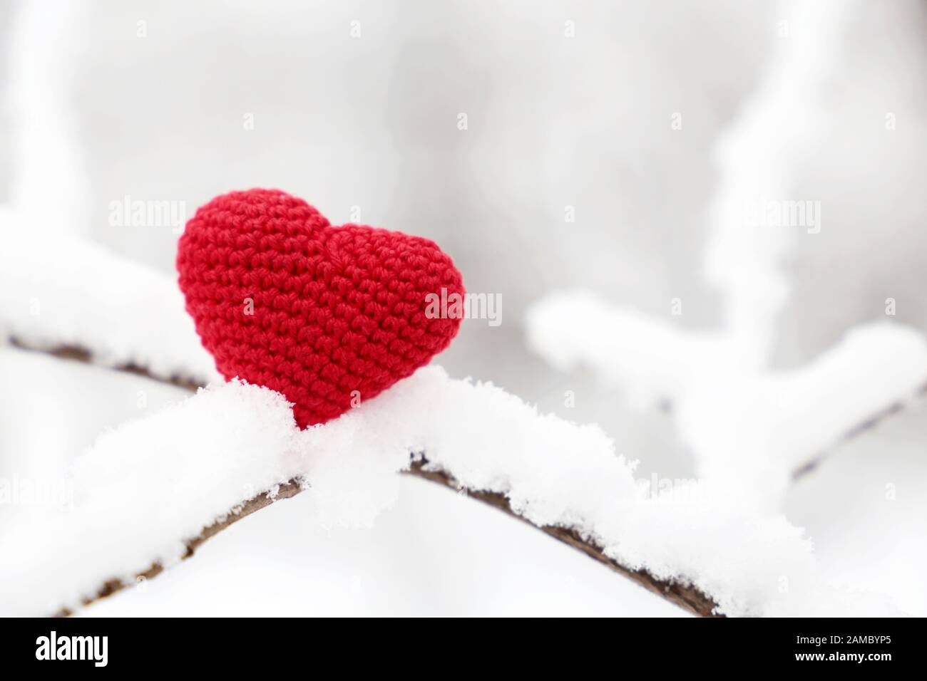 Valentinskurz im Winterwald. Rotes Stricksymbol für romantische Liebe im Schnee auf Baumzweig, Konzept Valentinstag Stockfoto