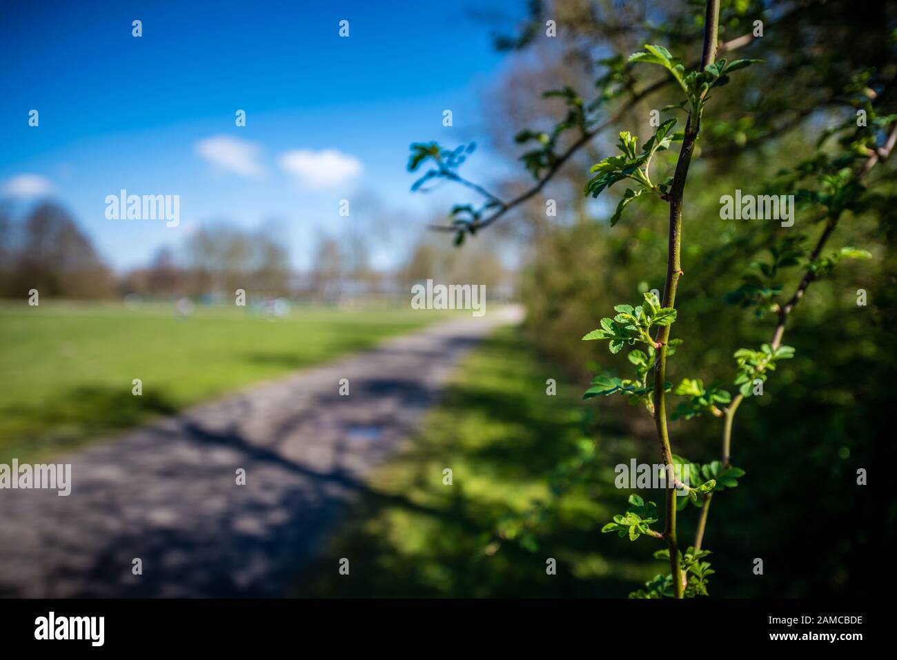 Vor vagen Hintergrund trittst Stockfoto