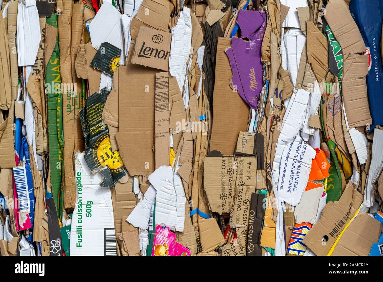 Dicht verpackte Pappe zum Recycling. Stockfoto