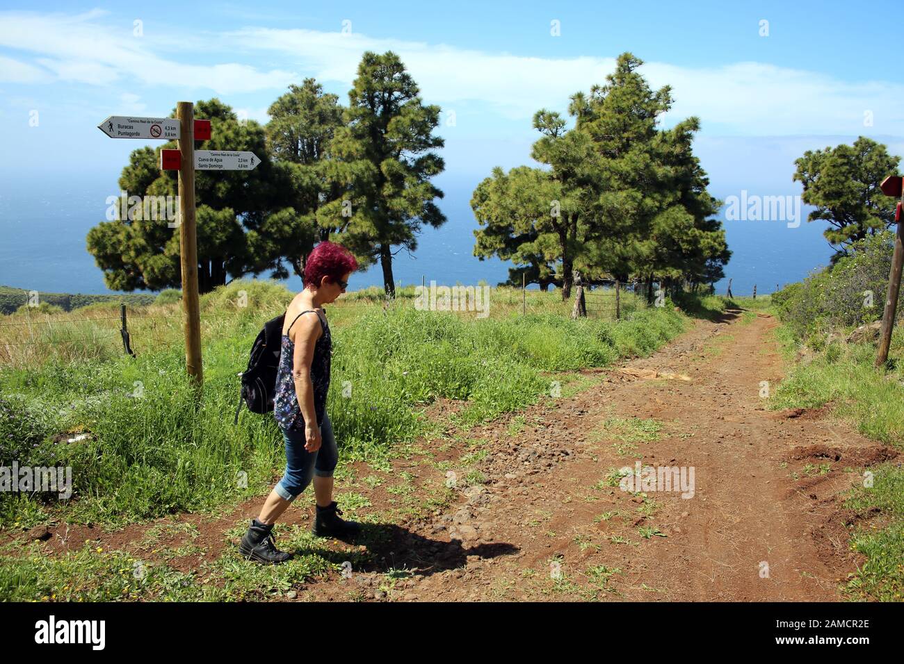 Wanderung von Las Tricias / Santo Domingo de Garafía, La Palma, Kanarische Inseln, Spanien Stockfoto