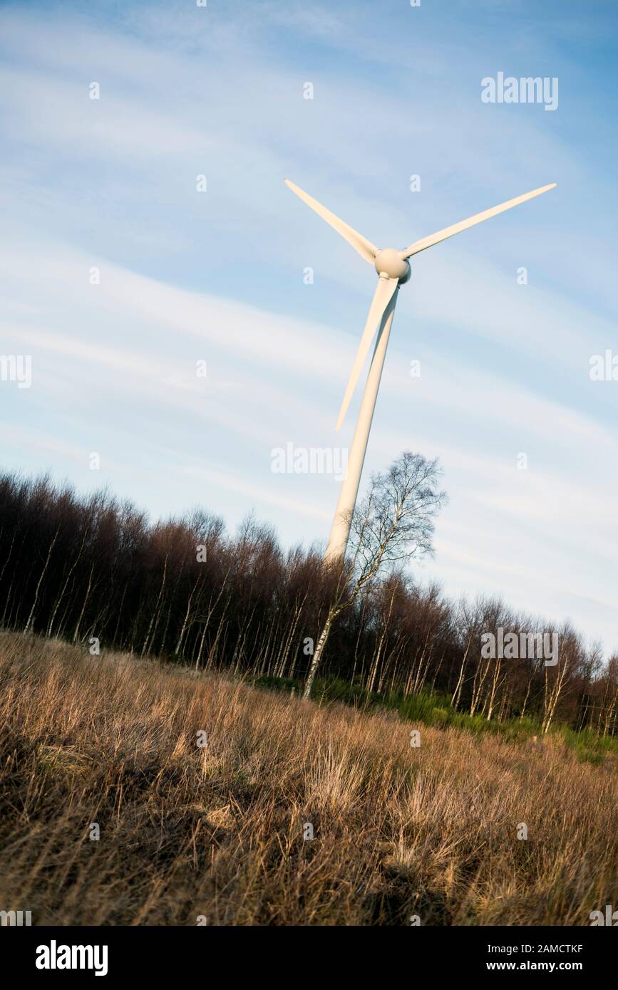 Drei Windturbinengeneratoren und Pylon oberhalb von Stracathro, Angus, Schottland, Großbritannien, umgeben von Bäumen. Stockfoto